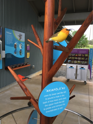 design prototyping exhibits