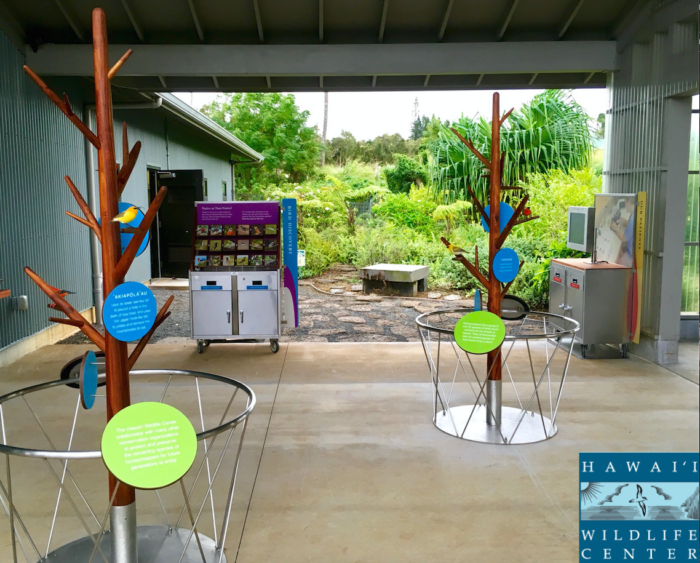 Hawaii wildlife center exhibit