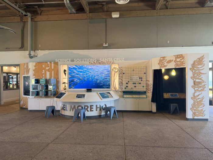 Custom interactive exhibit at the Seymour Marine Discovery Center featuring digital media displays, touchscreen stations, modular artifact cases, and laser-cut kelp-inspired graphics in a Monterey Bay–themed environment.