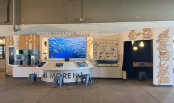 Custom interactive exhibit at the Seymour Marine Discovery Center featuring digital media displays, touchscreen stations, modular artifact cases, and laser-cut kelp-inspired graphics in a Monterey Bay–themed environment.